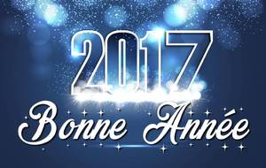 Bonne année 2017 !