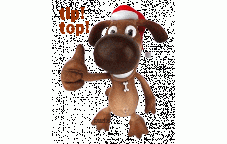 Les perfs du week-end !