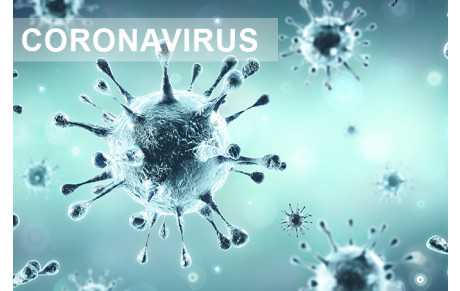 Covid 19 - Annulation des compétitions et entraînements