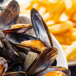 Réservations moules/frites 24H 2026